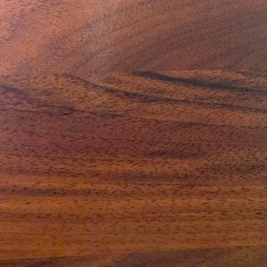 Meet your Posher, Ani